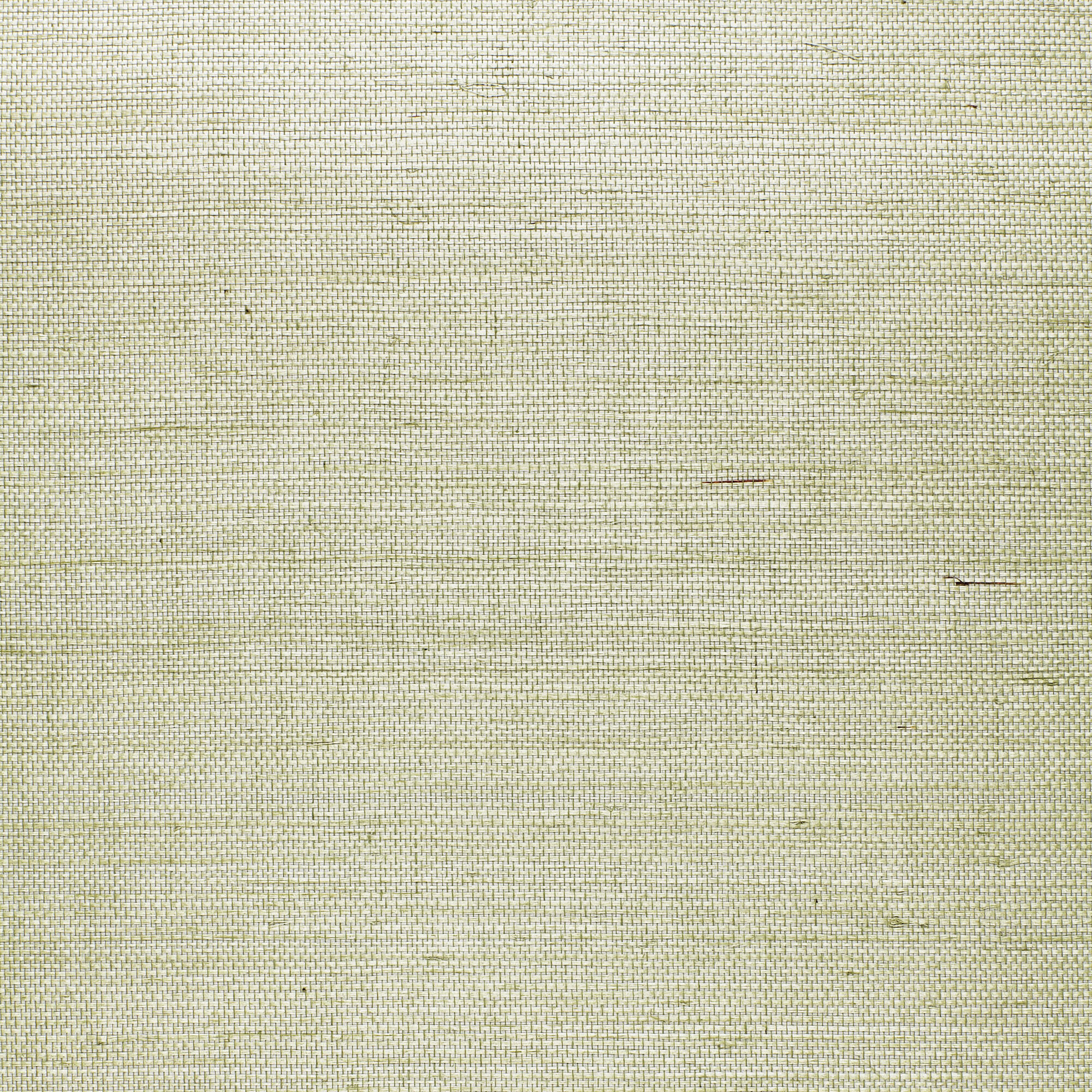 Schumacher x Celerie Kemble Suwon Sisal Wallpaper & Reviews | Wayfair