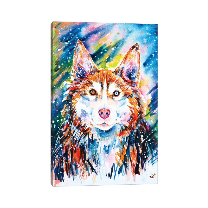 Husky by Zaira Dzhaubaeva - Wrapped Canvas Painting, 20.32 cm H x 30.48 cm W