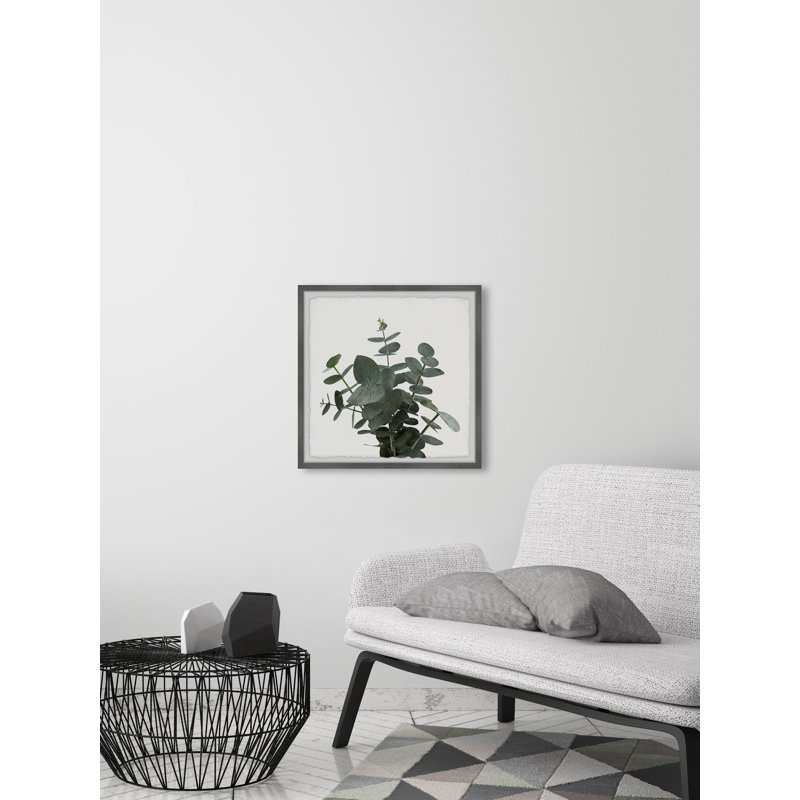 Green Eucalyptus Leaves - Single Picture Frame Painting, 51 cm H x 51 cm W