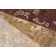 Paradise Hand Knotted Area Rug in Brown