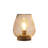 JHY DESIGN Metal Cage LED Lantern Battery Powered Cordless Accent Light