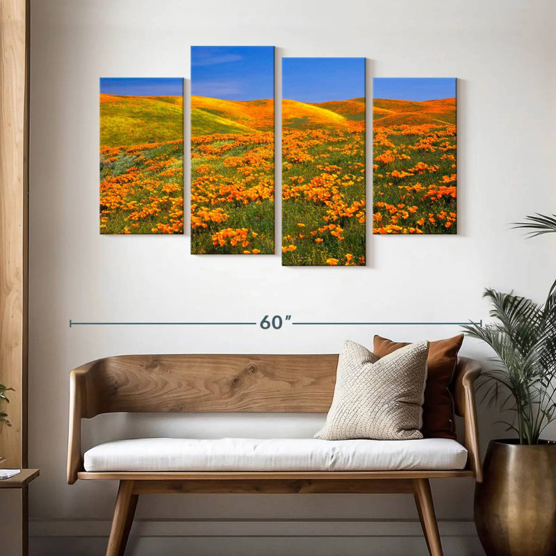 Coquelicots dorés d'Alvord, Californie, H 32 po x l 52 po