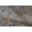 Bikaner Coll One-of-a-Kind 6'1" X 9'2" Wool Area Rug in