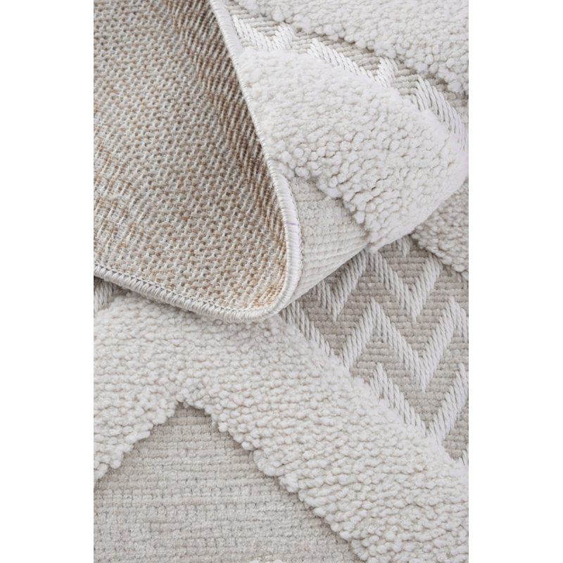 Reionna Machine Made Indoor / Outdoor Area Rug, Rectangle 5'3" x 8'2"