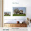 Midwest Farmhouse-925387218