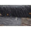 Hand Knotted Wool Area Rug in Black/Gray/Red/Beige-1486056162
