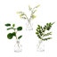 Faux Plants 11 " H Faux Bonsai and Ficus Branch in Glass Pot