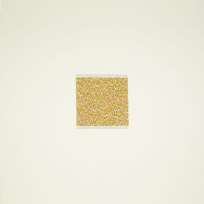 Cotton Terrycloth Towel