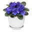 Pot Planter