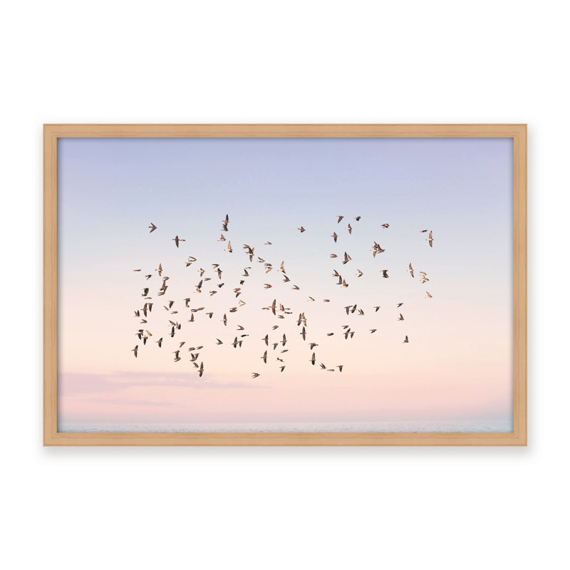 Nature Inspired Sunset Flight by  - Picture Frame Photograph on Paper, 16" H x 24" W x 1.125" D, Tan, Framed Matted Print