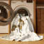 Alansen Abstract Indoor Rug-1689271303