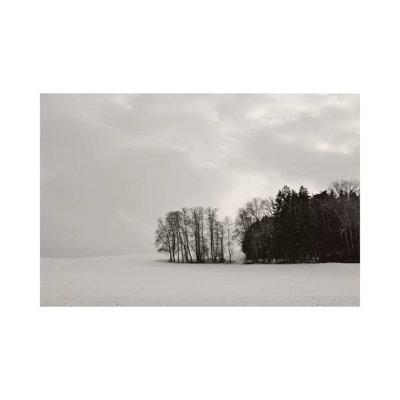 Sleepy Winter Landscape by Lena Weisbek - Wrapped Canvas Print