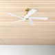 Adalai 5 Blade Ceiling Fan
