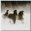 Winter Roundup II - impression sur toile tendue-1418564917