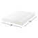 Wayfair Sleep Napeague Plush Memory Foam Mattress