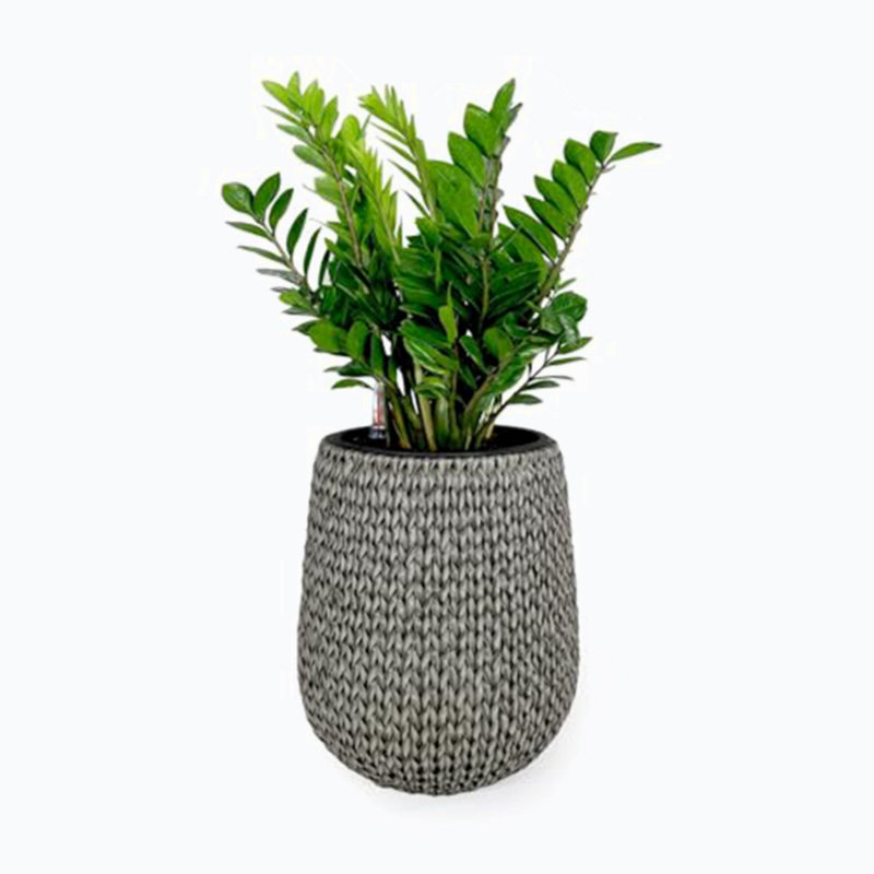 Jardinière Areonia, H 16,5 po x l 13,4 po x P 13,4 po, Gris
