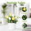 Tulipes fleurs artificielles - 6,9 po Faux tulipes pour la décoration intérieure-633489788