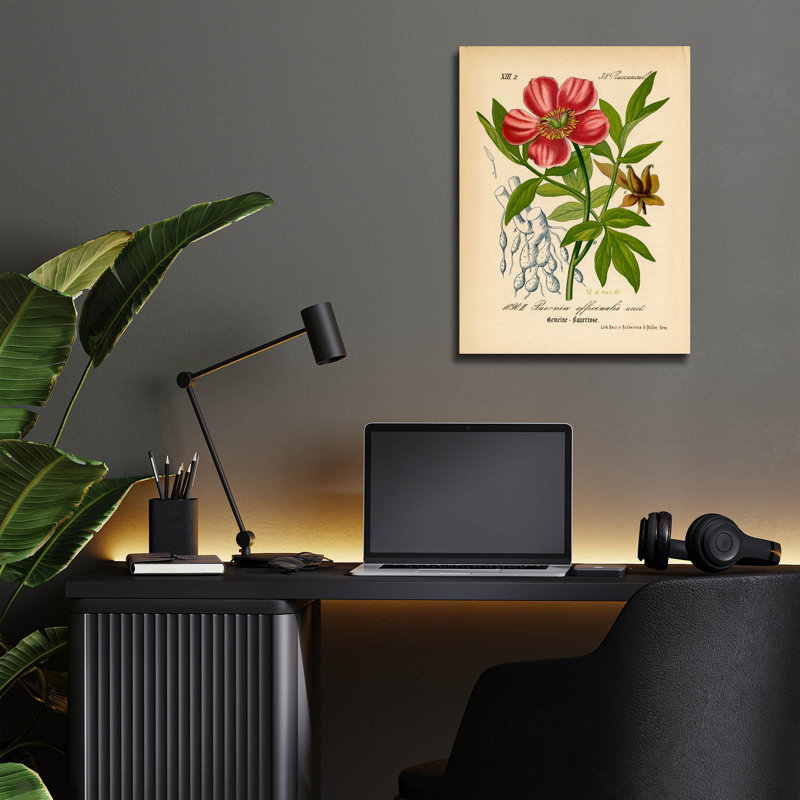 Art mural en verre acrylique épique 12 po x 16 po «Paeonia diriginalis» par Art Licensing Studio