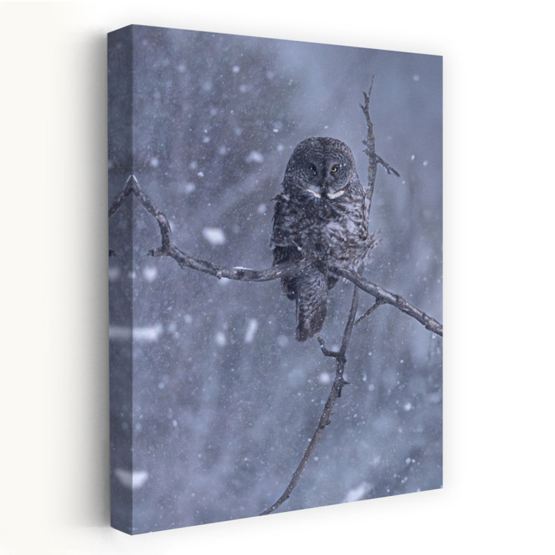 Grand hibou gris dans une tempête de neige, art mural contemporain abstrait, H 48 po x l 32 po