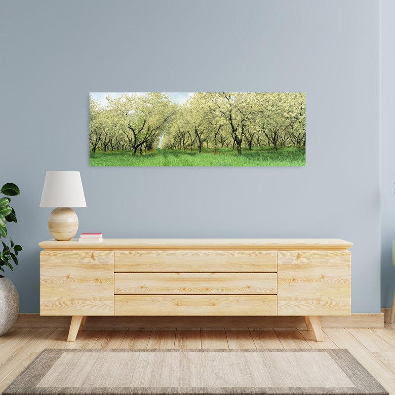 Rows Of Cherry Tress In An Orchard Minnesota USA 1 Piece Wrapped Canvas Panoramic Wall Art, 40.64 cm H x 121.92 cm W