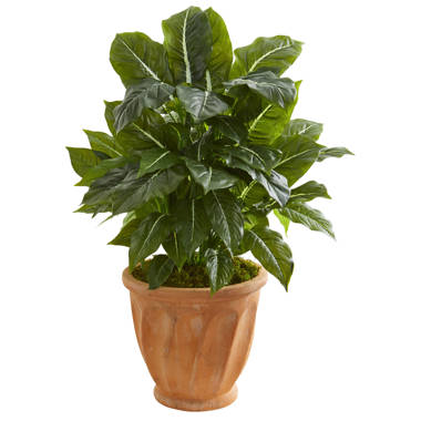 Hunny Pot Planter 