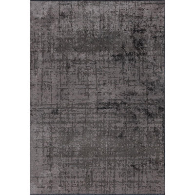 Rapture Abstract Area Rug in Gray