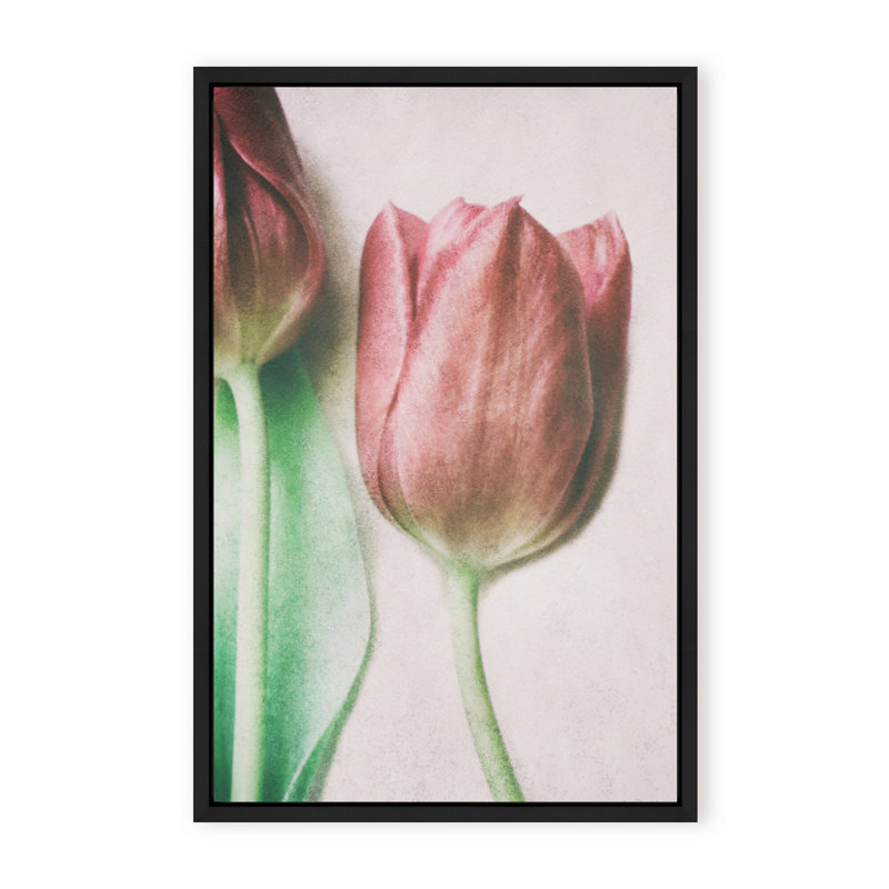 Nature Inspired The Spring Lovers by  - Picture Frame Graphic Art on Paper, Framed Canvas, 48" H x 32" W x 2.375" D, White