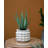 Mosley 2-Piece Planter Set-1509251171