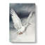 Flying Dove - Wrapped Canvas-55364102