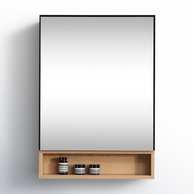 Selin Surface Medicine Cabinet