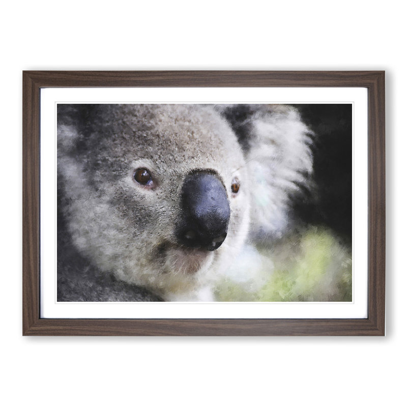 Koala Bear Vol.2 - Framed Print, 36cm H x 48cm W x 2cm D, Walnut Framed