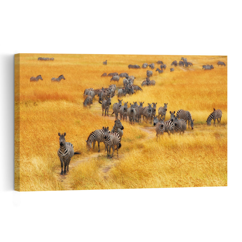 Zebras In Golden Grassland Contemporary Zebra Nature Wildlife Wall Art Print 1 Piece Wrapped Canvas Wall Art