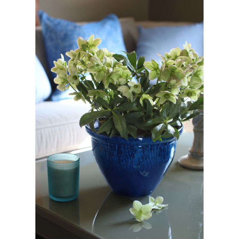 Pot Planter