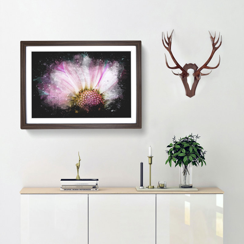 Pink Daisy Flower - Picture Frame Graphic Art Print, 45cm H x 63cm W x 2cm D, Walnut Framed