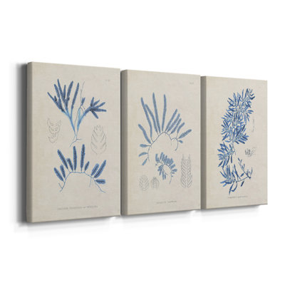 Blue Blue Algae I - Toile tendue avec châssis sur mesure - 3 pièces