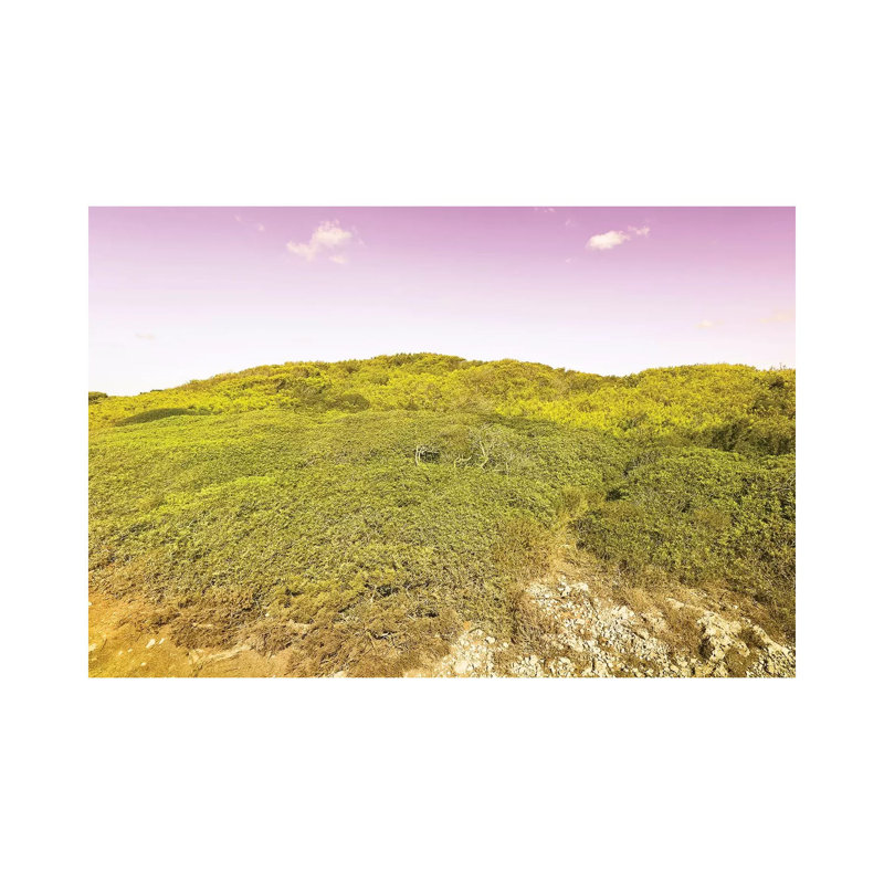 Wild Nature by Beli - Wrapped Canvas Print, 20.32 cm H x 30.48 cm W