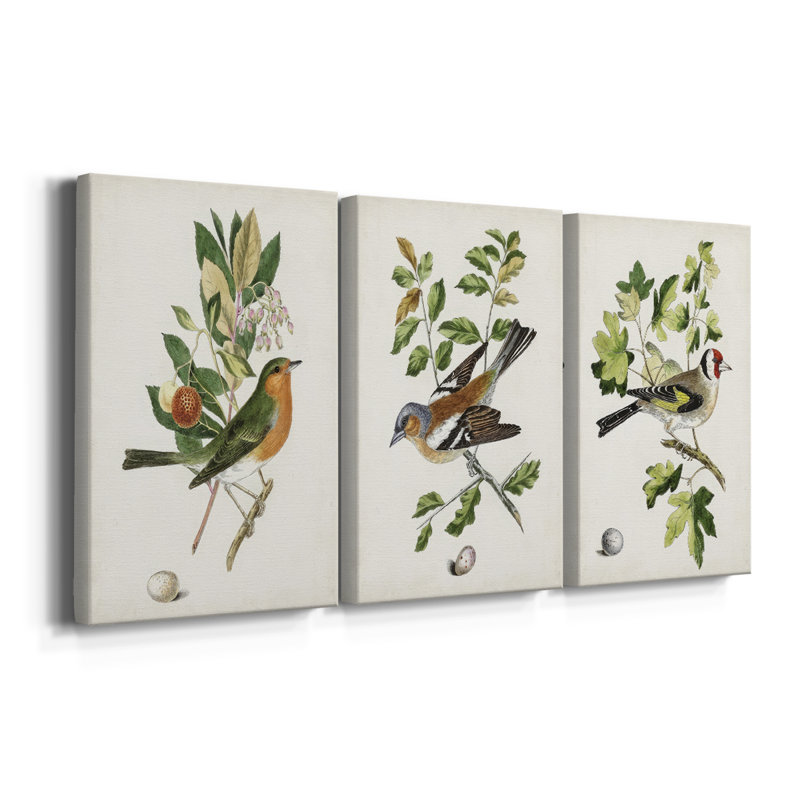 Oiseau antique, botanique et œuf sur toile tendue sur mesure - 3 pièces, H 18 po x l 36 po