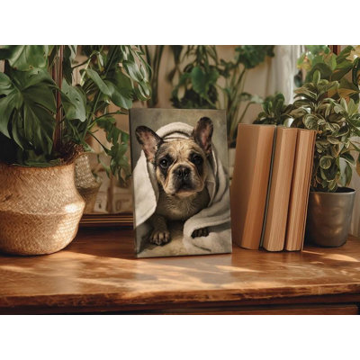 Drôle de bouledogue français sur toile