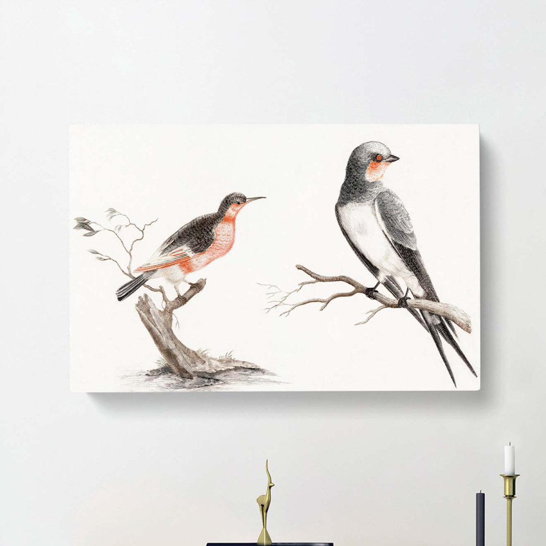 Songbird & Bee-eater Bird by Johan Teyler - Wrapped Canvas