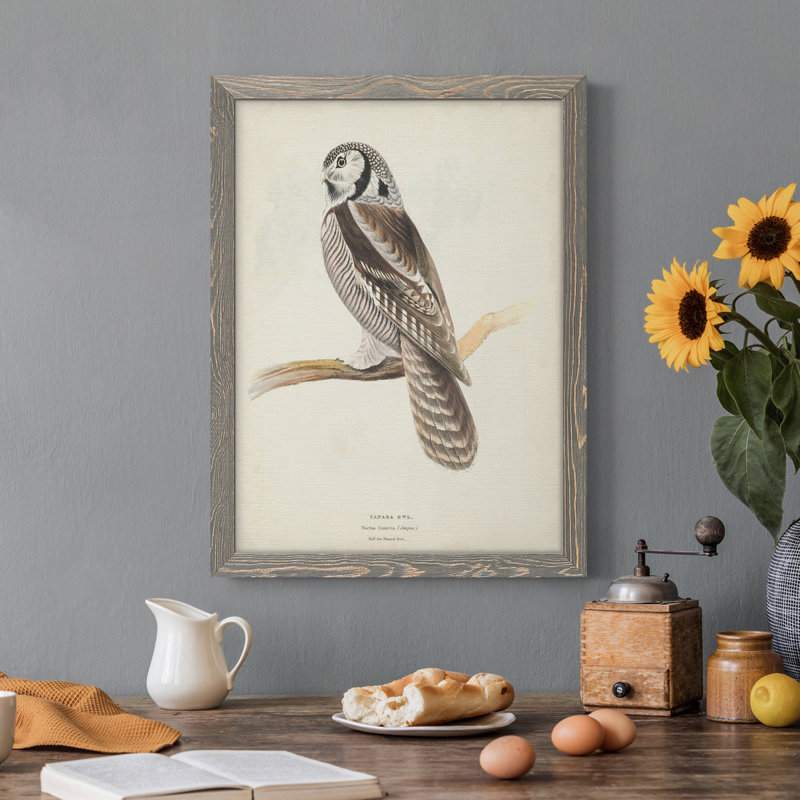 Toile encadrée de qualité supérieure Canada Owl - prête à être accrochée, H 44 po x l 31 po x P 1 po, Gris