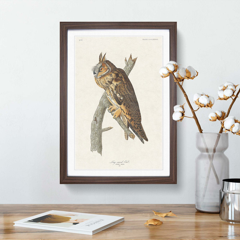 Long-Eared Owl by John Audubon - Picture Frame Painting Print, 48cm H x 36cm W x 2cm D, Walnut Framed