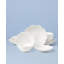 Studio 1414 Scallop 16 Piece Dinnerware Set