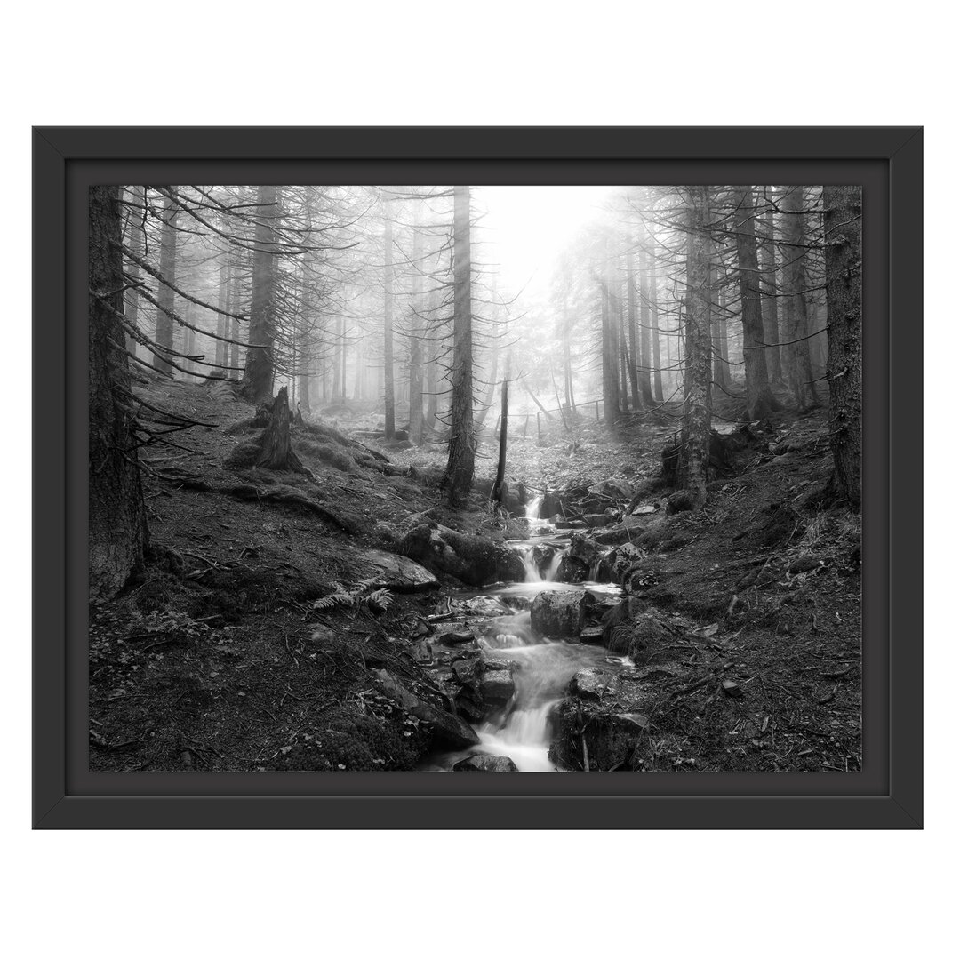 Gerahmtes Wandbild BachWald Kunst B&W