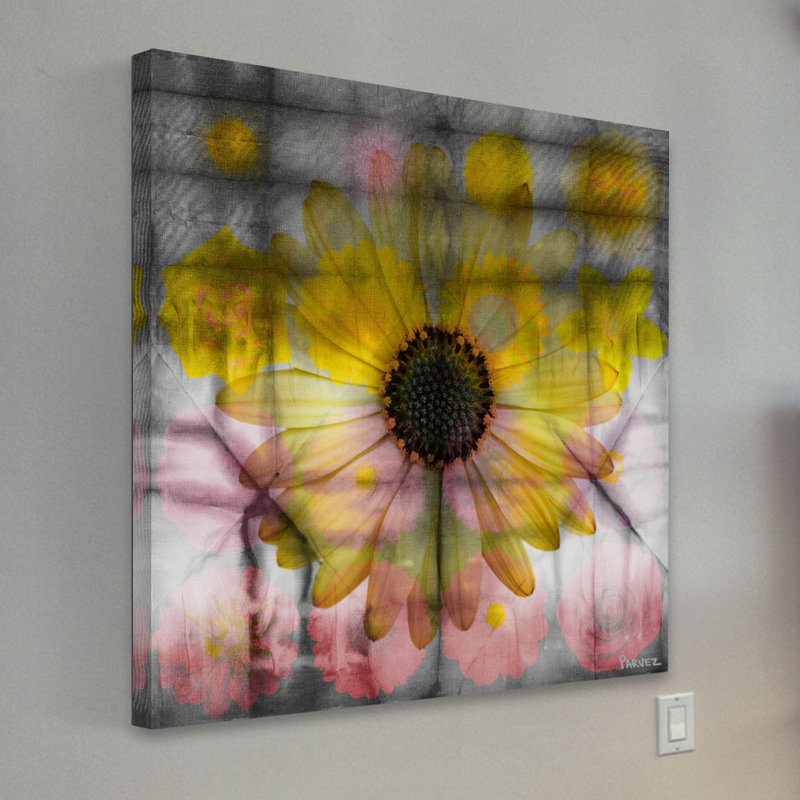 Parvez Taj - Wrapped Canvas Print, 81cm H x 81cm W x 3.81cm D