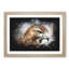 Hawk - Picture Frame Graphic Art Print-56863367-56863371