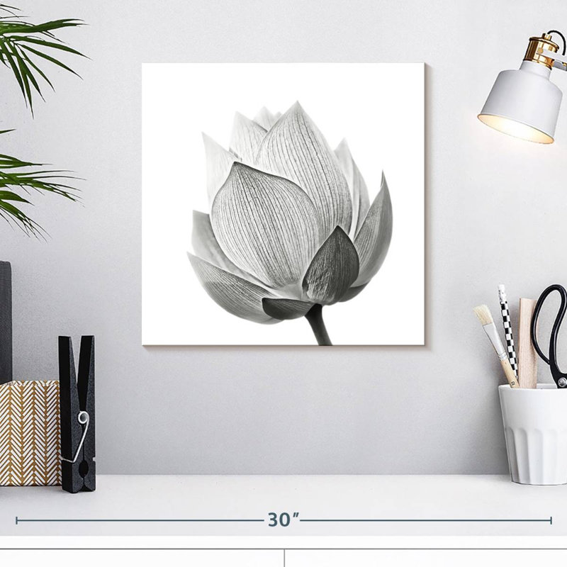 Lotus Harnek en herbe, H 16 po x l 16 po