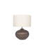 Schenevus Ceramic Table Lamp