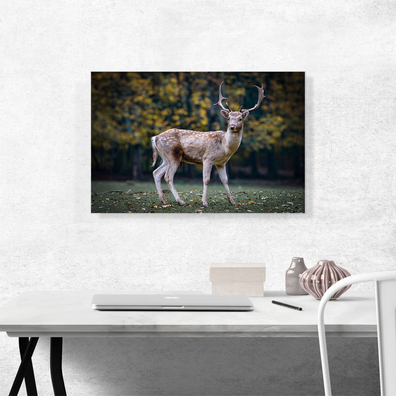 Deer in Forest Home Decor - Reproduction de photo sur toile tendue, H 18 po x l 26 po x P 0,75 po