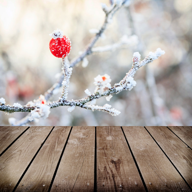 Palazzo Frozen Branches by Dziewul - Wrapped Canvas Print