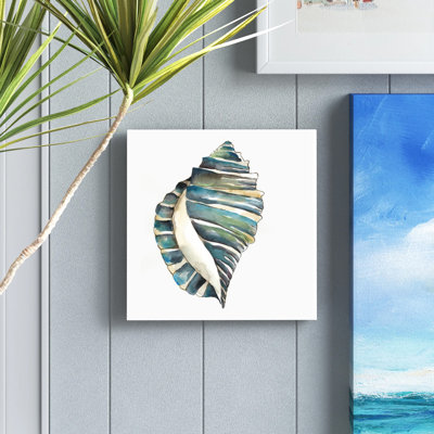 Aquarelle Shells I by Chariklia Zarris - Wrapped Canvas Painting